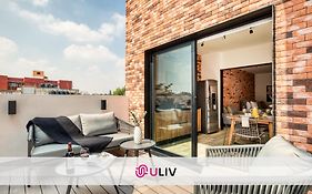 Uliv Roma Norte